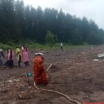 साफसफाई